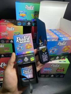 rooted labs dual chamber 2g disposable