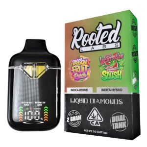 rooted labs passion fruit punch x watermelon slush 2g disposable